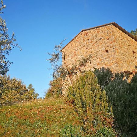 Cottage La Torre Del Pittore Бонассола Экстерьер фото