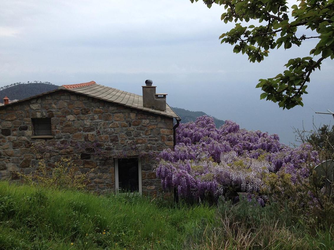 Cottage La Torre Del Pittore Бонассола Экстерьер фото
